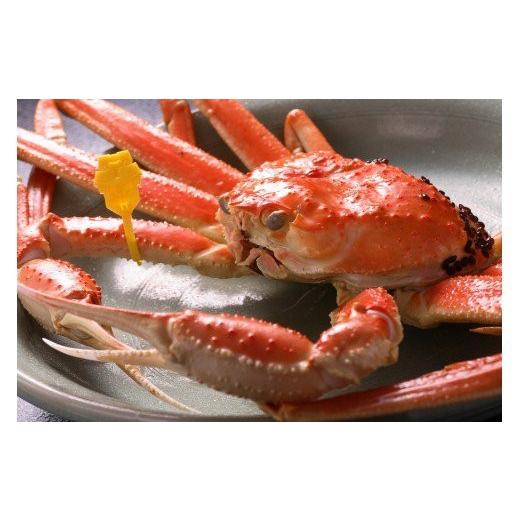 【値下げ・名盤】 ふるさと納税 福井県 福井市 【蟹問屋 越前田村屋 究極の逸品】越前がに（ズワイ）1.4-1.5kg 1杯 【12月1日から12月25日発送まで】 【HOV3010366728】(106040円)