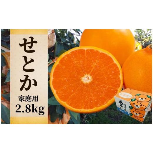 ふるさと納税 愛媛県 松山市 [せとか]家庭用 約2.8kg [2025年2月~3月頃発送] 愛媛 みかん 先行予約 蜜柑 柑橘 果物 くだもの フルーツ お取り寄せ グルメ…