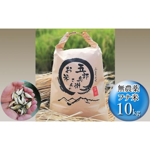 即購入可★ ふるさと納税 長野県 佐久市 フナで育てた「五郎兵衛さんのお米」農薬不使用米10K　定期便3ヶ月＜出荷開始：2023年10月初旬以降順次配送＞ 【E1136125469】(40020円)