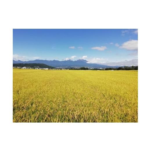 即購入可★ ふるさと納税 長野県 佐久市 フナで育てた「五郎兵衛さんのお米」農薬不使用米10K　定期便3ヶ月＜出荷開始：2023年10月初旬以降順次配送＞ 【E1136125469】(40020円)