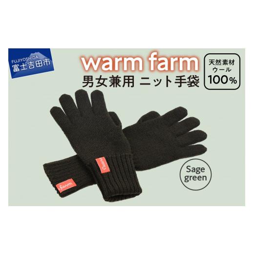 ふるさと納税 小物 山梨県 富士吉田市 手袋 光吸収発熱ウール 「 ウォームファーム ニット手袋 」 セージグリーン 暖かい ウール 発熱素材 レディース メンズ…
