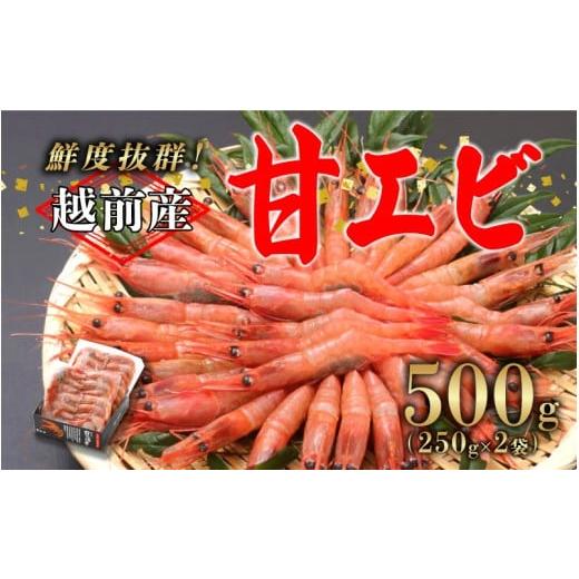 えびな出品（〜12/2購入予定） ふるさと納税 エビ あまエビ 福井県 鯖江市 選べる容量 小分け 越前産