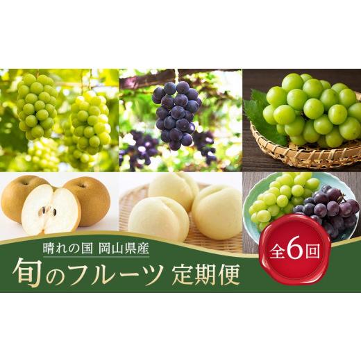 ふるさと納税 もも 岡山県 岡山市 フルーツ 定期便 2026年 晴れの国 岡山県産 旬のフルーツ定期便 6回コース 桃 もも 葡萄 ぶどう 梨 なし 岡山県産 国産 セッ…_1