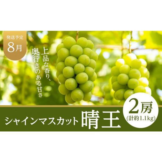 ふるさと納税 もも 岡山県 岡山市 フルーツ 定期便 2026年 晴れの国 岡山県産 旬のフルーツ定期便 6回コース 桃 もも 葡萄 ぶどう 梨 なし 岡山県産 国産 セッ…_3