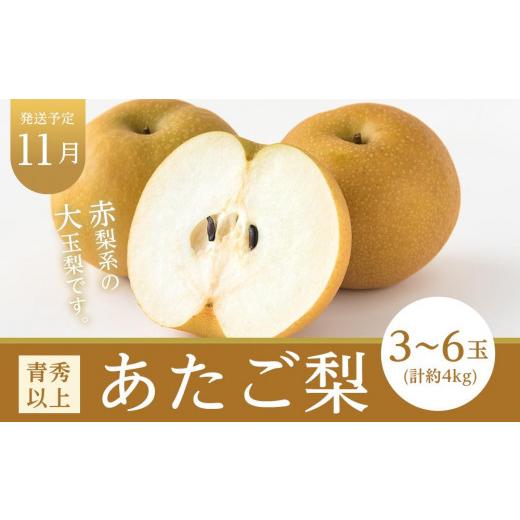 ふるさと納税 もも 岡山県 岡山市 フルーツ 定期便 2026年 晴れの国 岡山県産 旬のフルーツ定期便 6回コース 桃 もも 葡萄 ぶどう 梨 なし 岡山県産 国産 セッ…_8