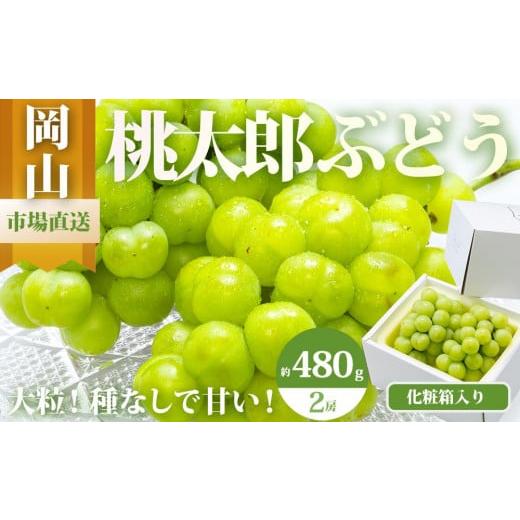 ふるさと納税 ぶどう 岡山県 岡山市 ぶどう 2026年 桃太郎 ぶどう 2房(1房480g以上)化粧箱入り ブドウ 葡萄 岡山県産 国産 フルーツ 果物 ギフト