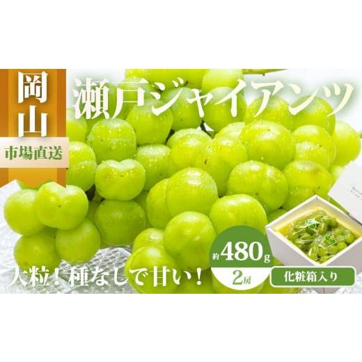 ふるさと納税 ぶどう 岡山県 岡山市 ぶどう 2026年 瀬戸 ジャイアンツ 2房(1房480g以上)約1kg 化粧箱入り ブドウ 葡萄 岡山県産 国産 フルーツ 果物 ギフト