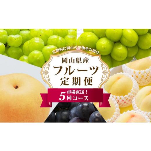 ふるさと納税 もも 岡山県 岡山市 フルーツ 定期便 2026年 フルーツ王国 岡山を堪能 5回コース 桃 もも 葡萄 ぶどう 梨 なし岡山県産 国産 果物 セット ギフト_1