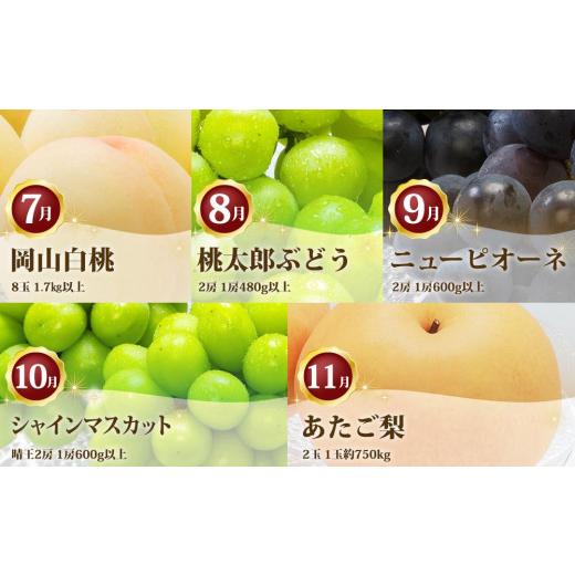 ふるさと納税 もも 岡山県 岡山市 フルーツ 定期便 2026年 フルーツ王国 岡山を堪能 5回コース 桃 もも 葡萄 ぶどう 梨 なし岡山県産 国産 果物 セット ギフト_2