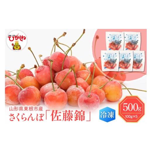 ふるさと納税 果物類 さくらんぼ 山形県 東根市 瞬間冷凍 東根市産さくらんぼ 100g×5袋 東根農産センター提供 hi027-244