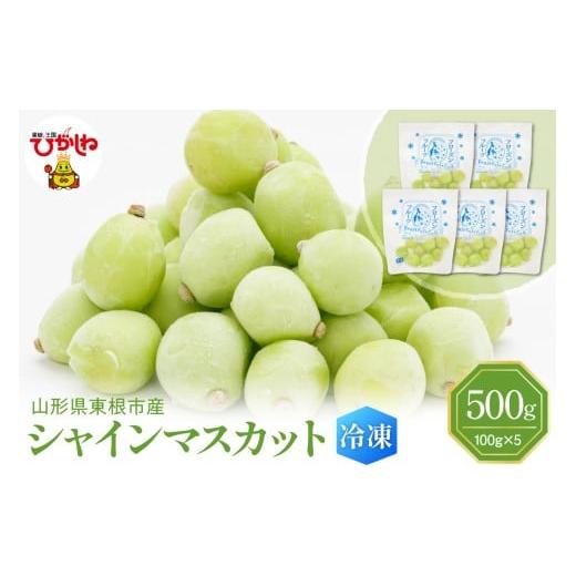 ふるさと納税 ぶどう マスカット 山形県 東根市 瞬間冷凍 東根市産 シャインマスカット 100g×5袋 東根農産センター提供 hi027-245 100g×5袋