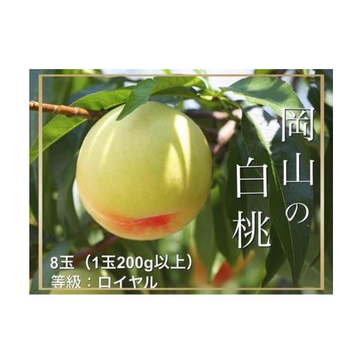 ふるさと納税 もも 岡山県 和気町 Fg-2 令和8年発送・先行予約 岡山県産 白桃(1玉200g以上)8玉 等級:ロイヤル 化粧箱入り