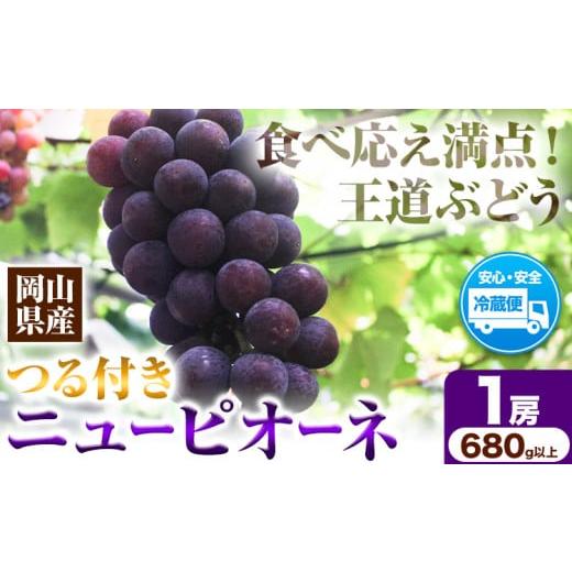 ふるさと納税 果物類 ぶどう 岡山県 笠岡市 先行予約 岡山県産 ニューピオーネ (1房680g以上) 1房入り 種無し ぶどう 令和8年産先行受付[9月中旬-10月下旬…