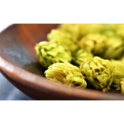 ふるさと納税 北海道 上富良野町 7年ぶりにリニューアル！！サッポロクラシック 350ml×24本 EI1057472107(10500円)