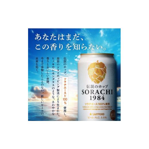 ふるさと納税 麦酒 北海道 上富良野町  6ヵ月年代順の継続お届け定期便 SORACHI 1984 1箱（350ml×12缶） 株式会社 まっ盛りイチ 北海道 上富良野町 ソラチ1984 お酒 酒 …