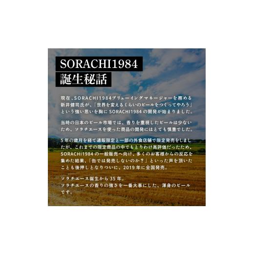 ふるさと納税 麦酒 北海道 上富良野町  6ヵ月年代順の継続お届け定期便 SORACHI 1984 1箱（350ml×12缶） 株式会社 まっ盛りイチ 北海道 上富良野町 ソラチ1984 お酒 酒 …