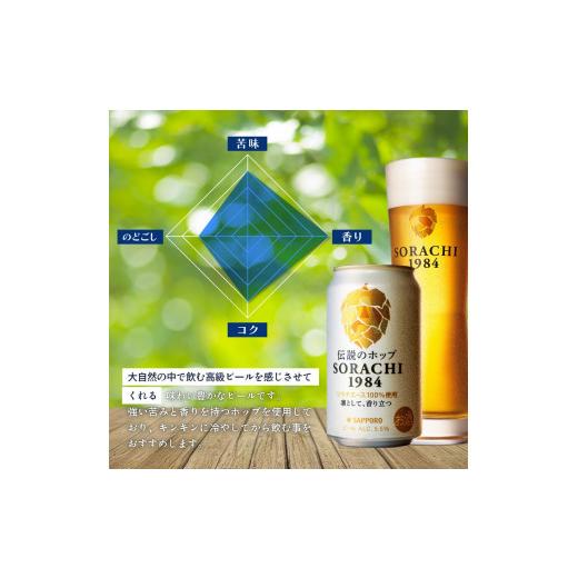 ふるさと納税 麦酒 北海道 上富良野町  6ヵ月年代順の継続お届け定期便 SORACHI 1984 1箱（350ml×12缶） 株式会社 まっ盛りイチ 北海道 上富良野町 ソラチ1984 お酒 酒 …