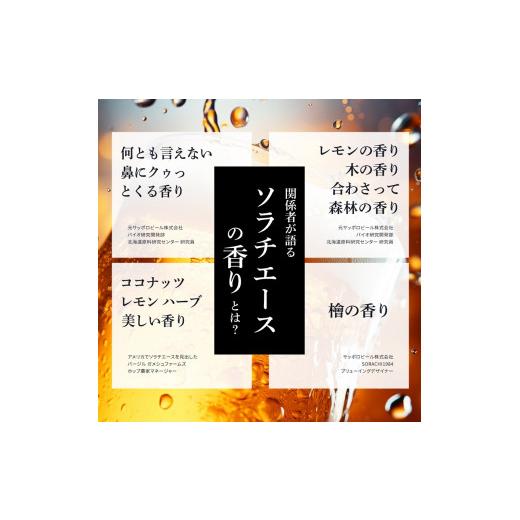ふるさと納税 麦酒 北海道 上富良野町  6ヵ月年代順の継続お届け定期便 SORACHI 1984 1箱（350ml×12缶） 株式会社 まっ盛りイチ 北海道 上富良野町 ソラチ1984 お酒 酒 …