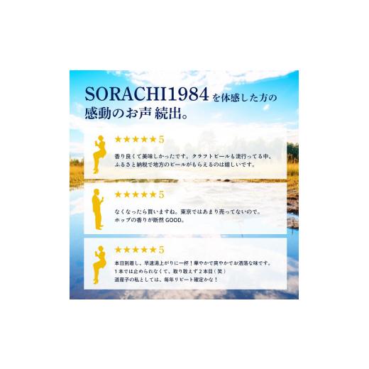 ふるさと納税 麦酒 北海道 上富良野町  6ヵ月年代順の継続お届け定期便 SORACHI 1984 1箱（350ml×12缶） 株式会社 まっ盛りイチ 北海道 上富良野町 ソラチ1984 お酒 酒 …