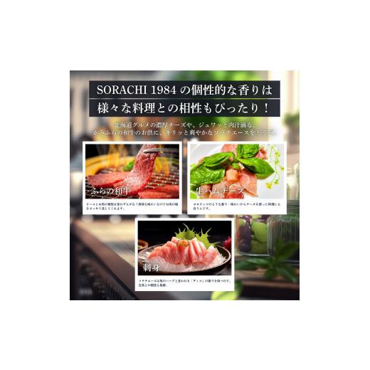 ふるさと納税 麦酒 北海道 上富良野町  6ヵ月年代順の継続お届け定期便 SORACHI 1984 1箱（350ml×12缶） 株式会社 まっ盛りイチ 北海道 上富良野町 ソラチ1984 お酒 酒 …