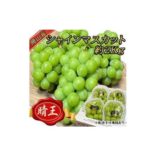 ふるさと納税 ぶどう マスカット 岡山県 里庄町 ぶどう2026年 先行予約 岡山 名産 晴王 シャイン マスカット たっぷり2kg 9月上旬以降順次発送 ギフトにも ブ…