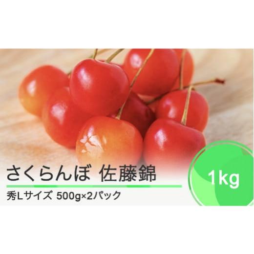 ふるさと納税 山形県 大石田町 さくらんぼ 佐藤錦 秀Lサイズ バラ詰め 1kg(500g×2パック) 2024年産 令和6年産 山形県産 ns-snslb1