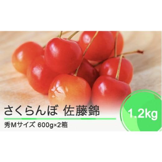 ふるさと納税 山形県 大石田町 さくらんぼ 佐藤錦 秀Mサイズ バラ詰め 1.2kg(600g×2箱) 2024年産 令和6年産 山形県産 ns-snsmb1200