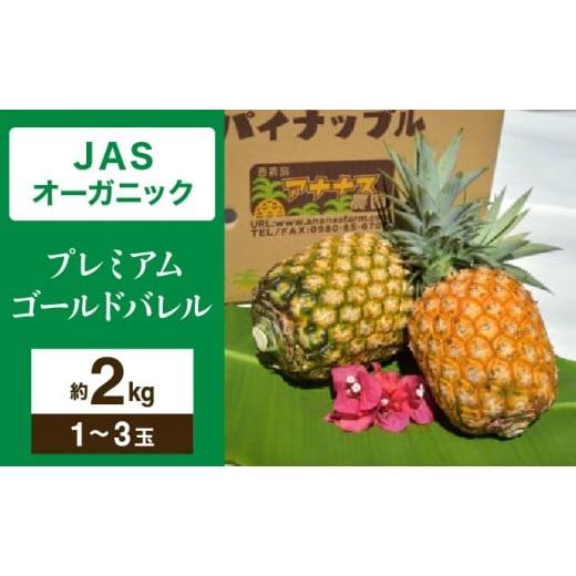 ふるさと納税 果物類 沖縄県 竹富町 JASオーガニック プレミアムゴールドバレル 約2kg 1〜3玉 約2kg 1〜3玉