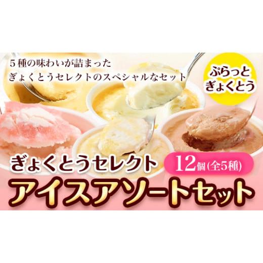 ふるさと納税 菓子 アイス 熊本県 玉東町 ぎょくとうセレクト アイスアソートセット 12個(全5種)[60日以内に出荷予定(土日祝除く)] 熊本県玉名郡玉東町 すも…