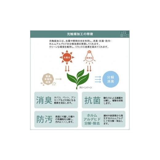 雑貨・日用品 インテリア 愛知県 名古屋市 Botanical c.class 【パワーステーション】 18　北欧チーク 北欧チーク