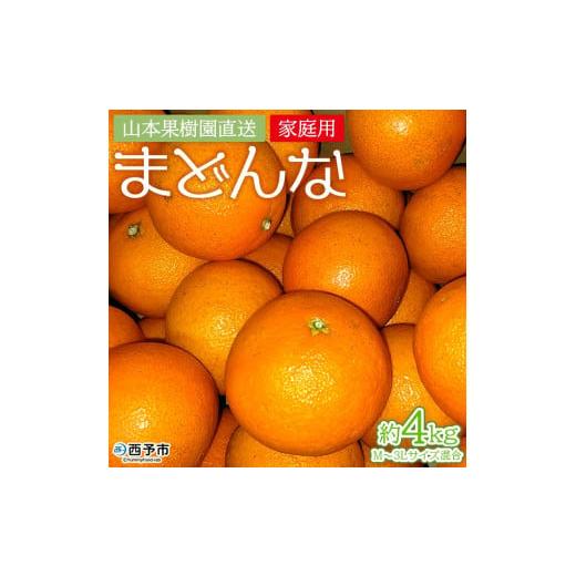 ふるさと納税 みかん・柑橘類 愛媛県 西予市 紅まどんなと同品種 まどんな 約4kg(家庭用・M〜3Lサイズ混合) 果物 オレンジ フルーツ 柑橘 みかん 愛果28号 …