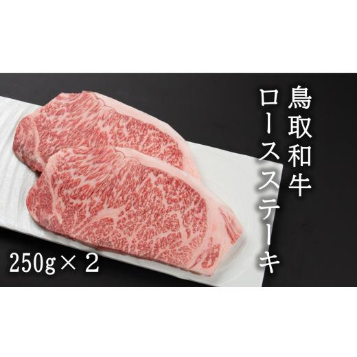 ふるさと納税 鳥取県 智頭町 U1-3 鳥取和牛ロースステーキ(250g×2)