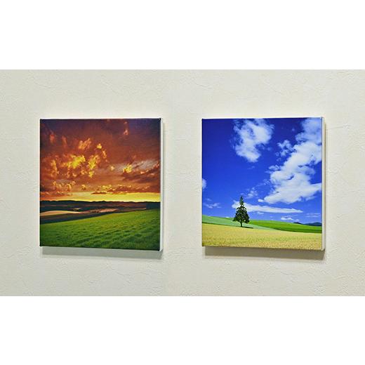 ふるさと納税 雑貨・日用品 写真 北海道 美瑛町 写真家 阿部俊一 キャンバスプリント(273mm × 273mm) 036-28の画像