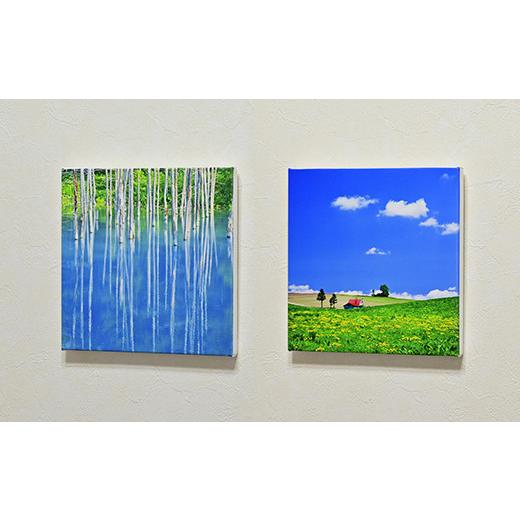 ふるさと納税 雑貨・日用品 写真 北海道 美瑛町 写真家 阿部俊一 キャンバスプリント(273mm × 273mm) 036-28の画像