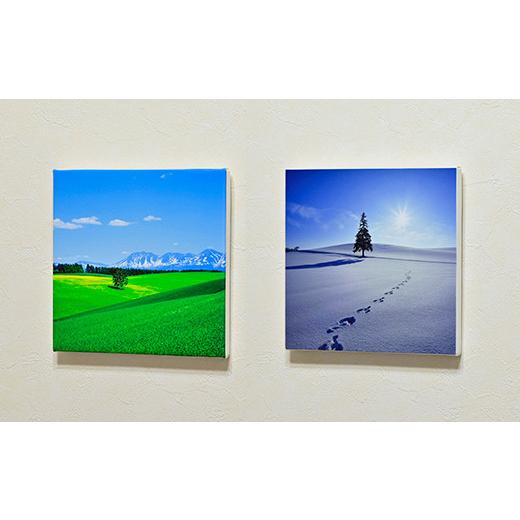 ふるさと納税 雑貨・日用品 写真 北海道 美瑛町 写真家 阿部俊一 キャンバスプリント(273mm × 273mm) 036-28の画像