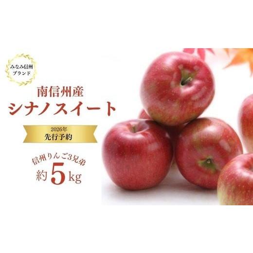 ふるさと納税 りんご 長野県 松川町 JA13-26A 先行予約 りんご シナノスイート 約5kg / 2026年9月下旬〜10月上旬ごろ配送予定 // 長野県 贈答 南信州産 長…
