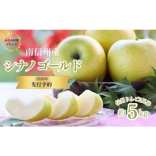 ふるさと納税 りんご 長野県 松川町 JA14-26A 先行予約 りんご シナノゴールド 約5kg / 2026年10月下旬〜11月上旬ごろ配送予定 // 長野県 糖度センサー選別…