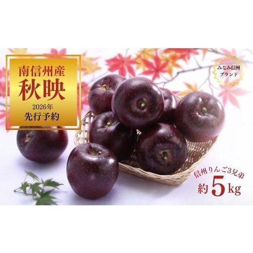 ふるさと納税 りんご 長野県 松川町 JA12-26A 先行予約 りんご 秋映 約5kg /2026年9月下旬〜10月上旬ごろ配送予定 // 長野県 オリジナル品種 南信州産 贈答…