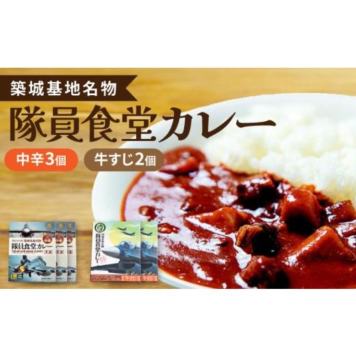 ふるさと納税 加工品等 レトルト 福岡県 築上町 F-2 パッケージ 航空自衛隊 築城基地 名物 隊員食堂 カレー ( 中辛 3個 + 牛すじ 2個)[築上町] NPO法人築上…