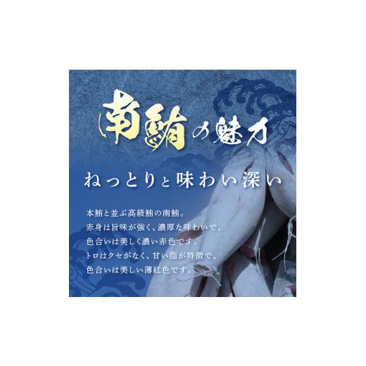 割引特価 ふるさと納税 静岡県 焼津市 a10-859　訳あり 天然 南鮪 中トロ 約400g