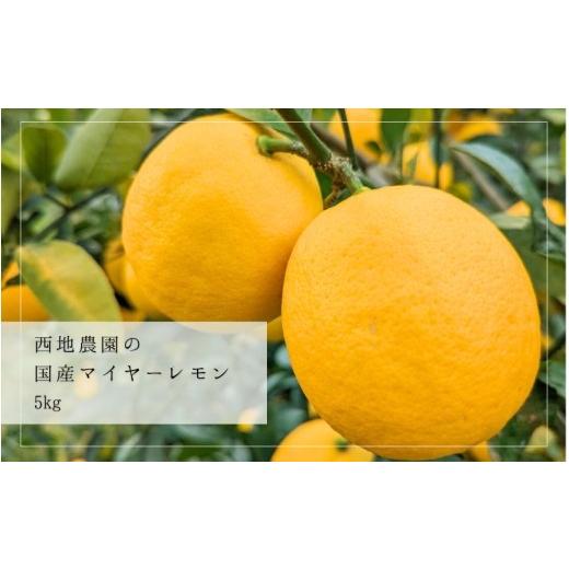 ふるさと納税 果物類 みかん 三重県 紀宝町 先行予約 西地農園の国産マイヤーレモン 5kg 2026年12月から2027年1月上旬頃に順次発送致します。 / 檸檬 レモン…