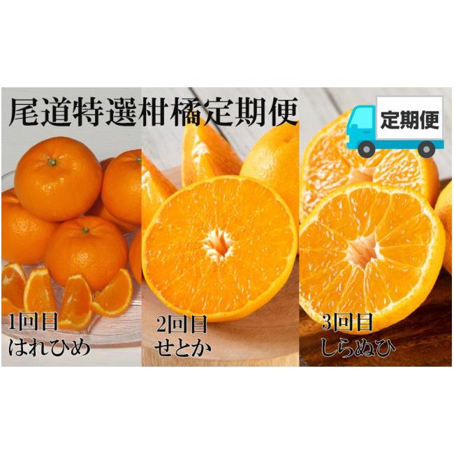 ふるさと納税 広島県 尾道市 尾道発 厳選！柑橘定期便　ハウスせとか　ハウスしらぬひ（不知火）　はれひめ　柑橘　みかん　もりの農園の人気柑橘 瀬戸田産