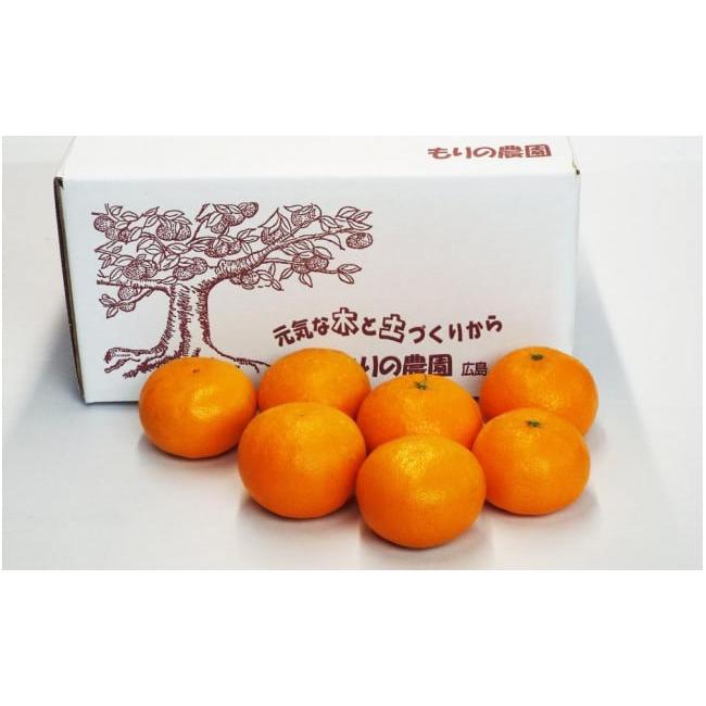 ふるさと納税 広島県 尾道市 尾道発 厳選！柑橘定期便　ハウスせとか　ハウスしらぬひ（不知火）　はれひめ　柑橘　みかん　もりの農園の人気柑橘 瀬戸田産