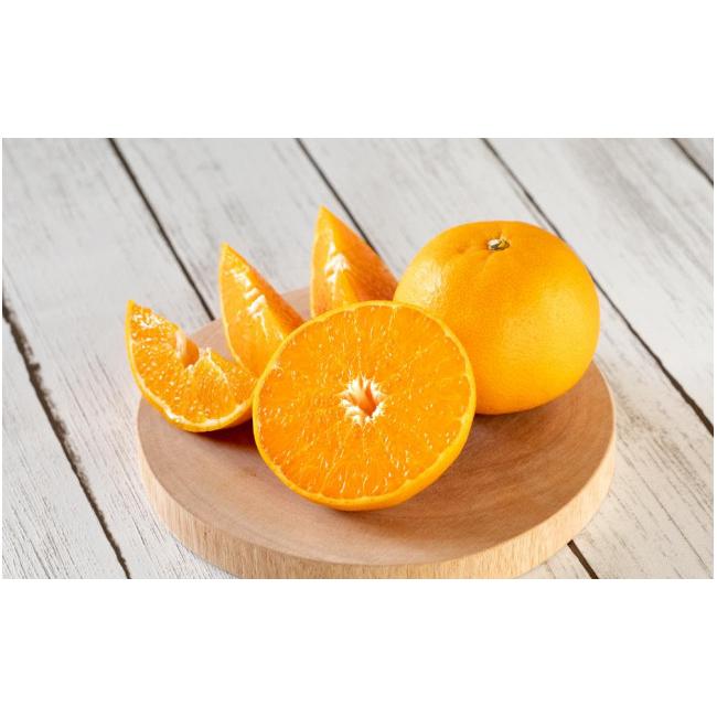 ふるさと納税 広島県 尾道市 尾道発 厳選！柑橘定期便　ハウスせとか　ハウスしらぬひ（不知火）　はれひめ　柑橘　みかん　もりの農園の人気柑橘 瀬戸田産