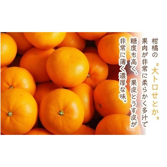 ふるさと納税 広島県 尾道市 尾道発 厳選！柑橘定期便　ハウスせとか　ハウスしらぬひ（不知火）　はれひめ　柑橘　みかん　もりの農園の人気柑橘 瀬戸田産