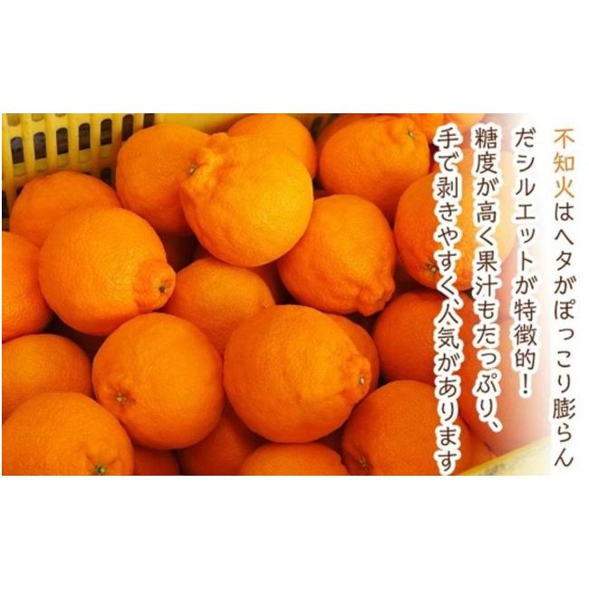 ふるさと納税 広島県 尾道市 尾道発 厳選！柑橘定期便　ハウスせとか　ハウスしらぬひ（不知火）　はれひめ　柑橘　みかん　もりの農園の人気柑橘 瀬戸田産