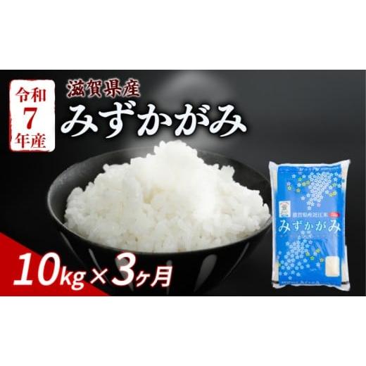 ふるさと納税 米 滋賀県 彦根市 みずかがみ 10kg (5kg×2) 3ヶ月定期便 令和7年産 米 こめ ご飯 米 定期便 3回定期便 3か月定期便 3回 3か月 10キロ 令和7年 …