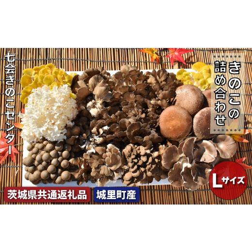 ふるさと納税 野菜類 きのこ 茨城県 高萩市 きのこの詰め合わせ Ｌサイズ（茨城県共通返礼品・城里町産）_1