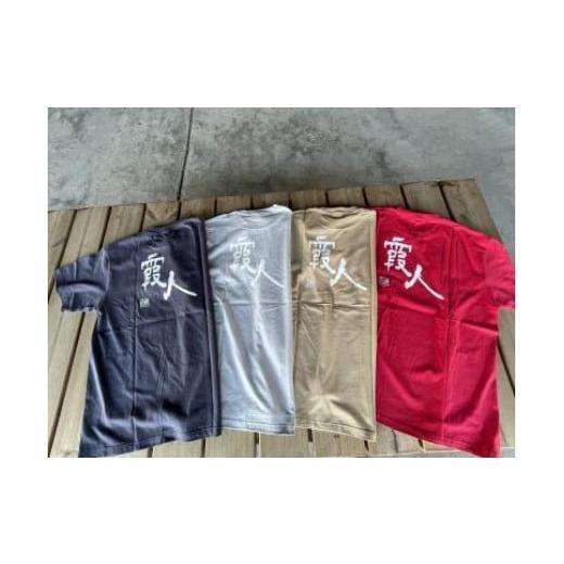 ふるさと納税 ファッション 茨城県 美浦村 霞人(かすみんちゅ)Tシャツ Lサイズ Lサイズ