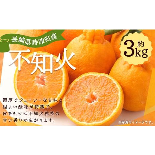ふるさと納税 みかん・柑橘類 デコポン 長崎県 時津町 数量限定 長崎県 時津町産 不知火 約3kg 柑橘 果物 2026年3月下旬-4月下旬迄発送予定